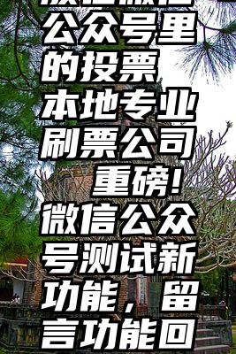 放在微信公众号里的投票 本地专业刷票公司  重磅!微信公众号测试新功能，留言功能回来了