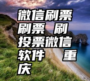 微信刷票刷票 刷投票微信软件  重庆