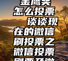 微信投票刷票+ios 金鹰奖怎么投票  谈谈现在的微信刷投票之微信投票刷票及微信刷票投票