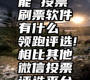 微信群怎么投票功能 投票刷票软件有什么  领跑评选!相比其他微信投票评选平台有什么优势