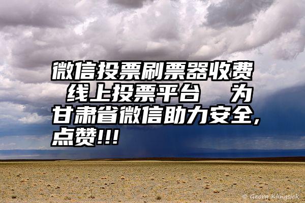 微信投票刷票器收费 线上投票平台  为甘肃省微信助力安全,点赞!!!